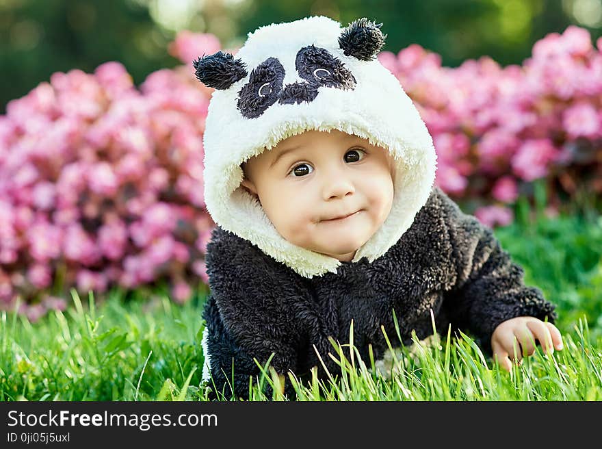 Cute baby boy wearing a Panda bear suit sitting in grass and flowers at park.