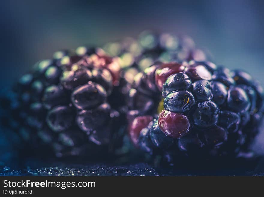 Selective Focus Photography of Purple Fruit