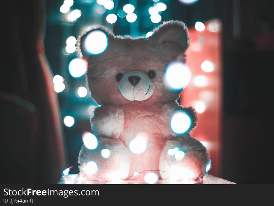 Bokeh Photography of Pink Bear Plush Toy