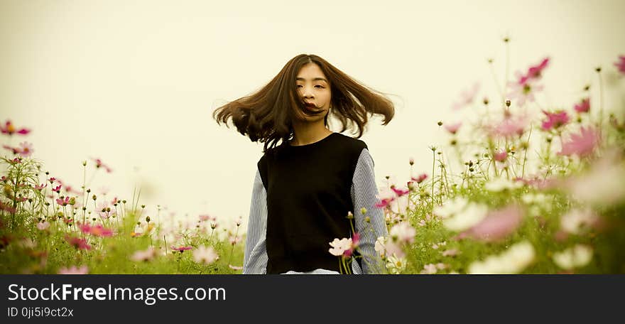 Girl on White and Pink Cosmos Flower Field Photography