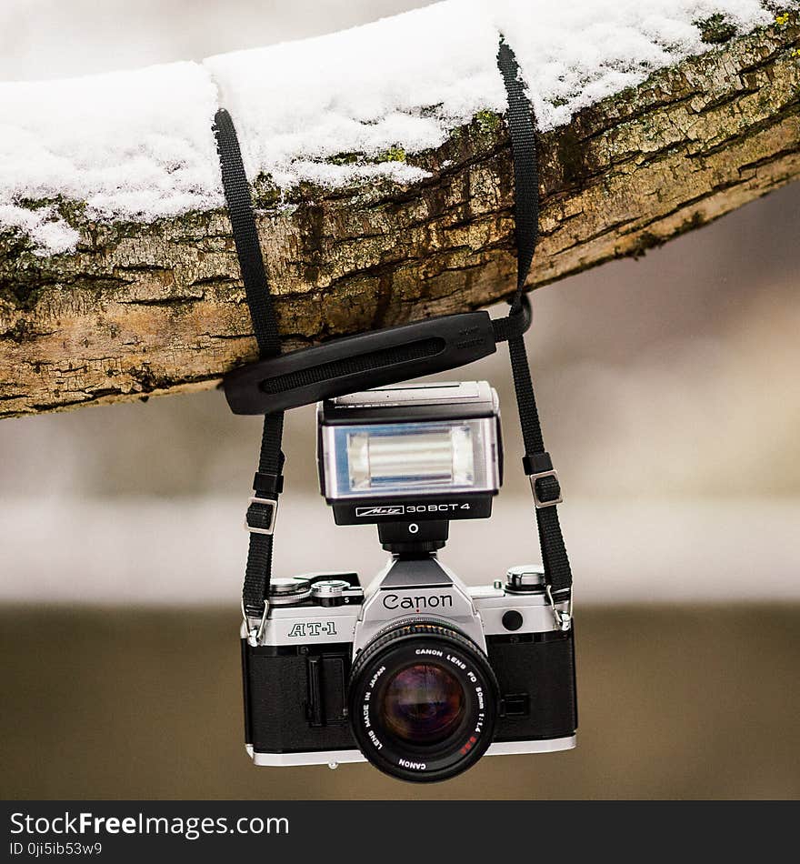 Black and Gray Canon Dslr Camera Hanging on Brown Tree Trunk With Snow