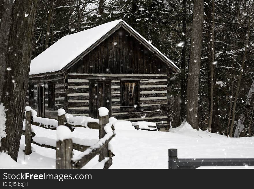 Snowy Brown House Near Tree