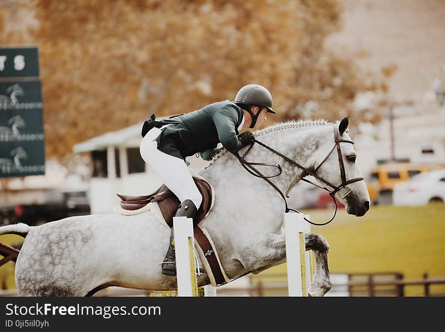 Person Riding Horse