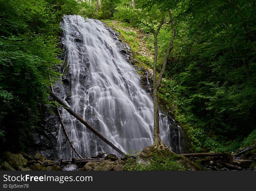 Waterfalls in Between Green Trees