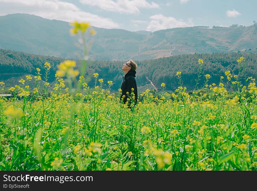 Man Standing on Yellow Bed of Flowers