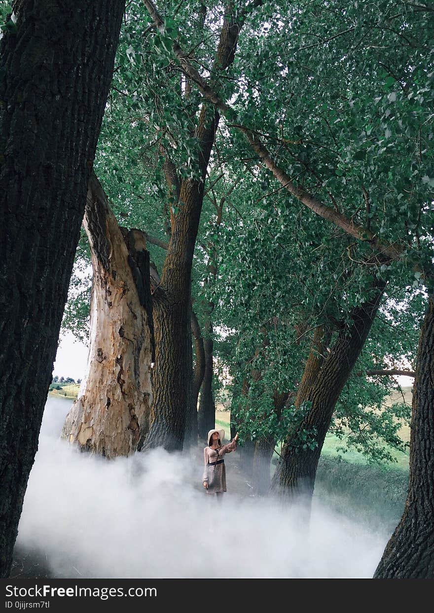 Woman In Dress Surrounded By White Smoke And Trees