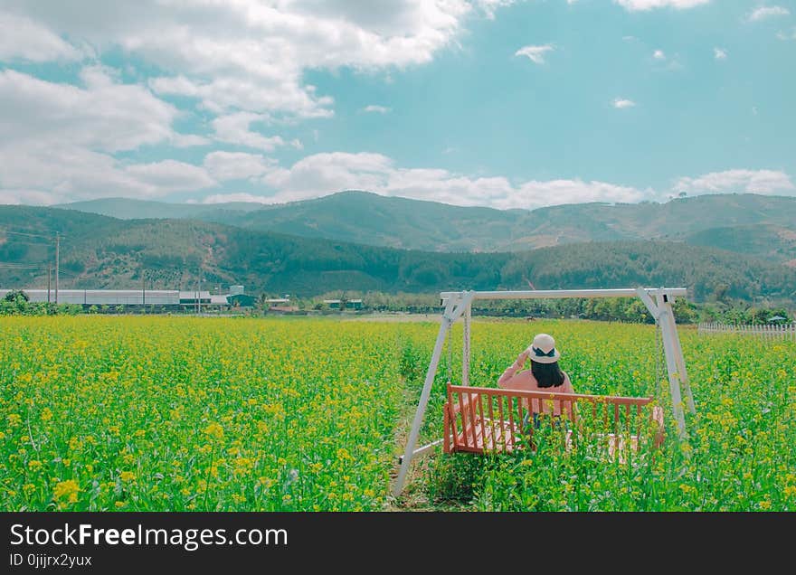 Woman Sits on Brown Wooden Swing Bench on Yellow Petaled Flower Field