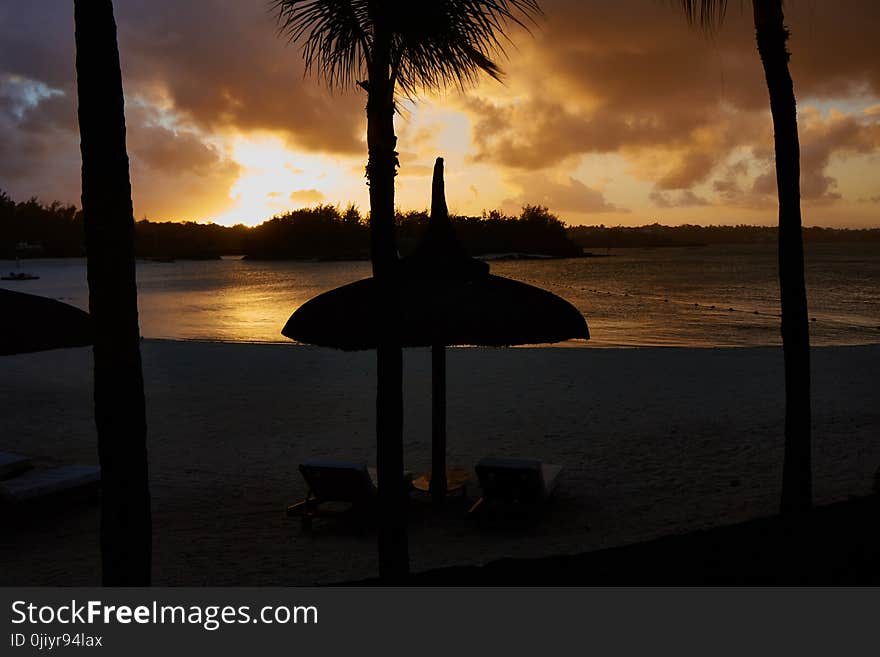 Silhouette of Parasol and Palm Trees Near Seashore