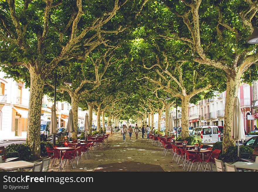 Red Wooden Table With Chairs on Street