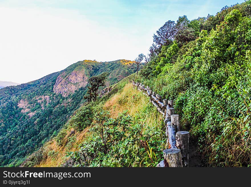 Green Mountain With Fence