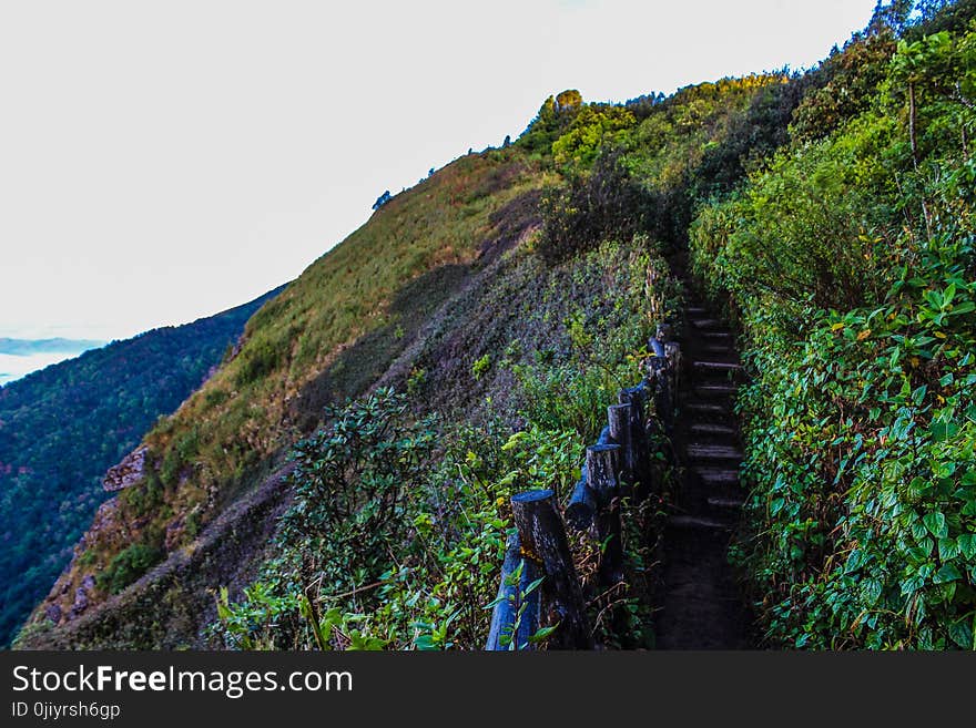 Pathway on Mountain With Blue Wooden Handrails at Daytime