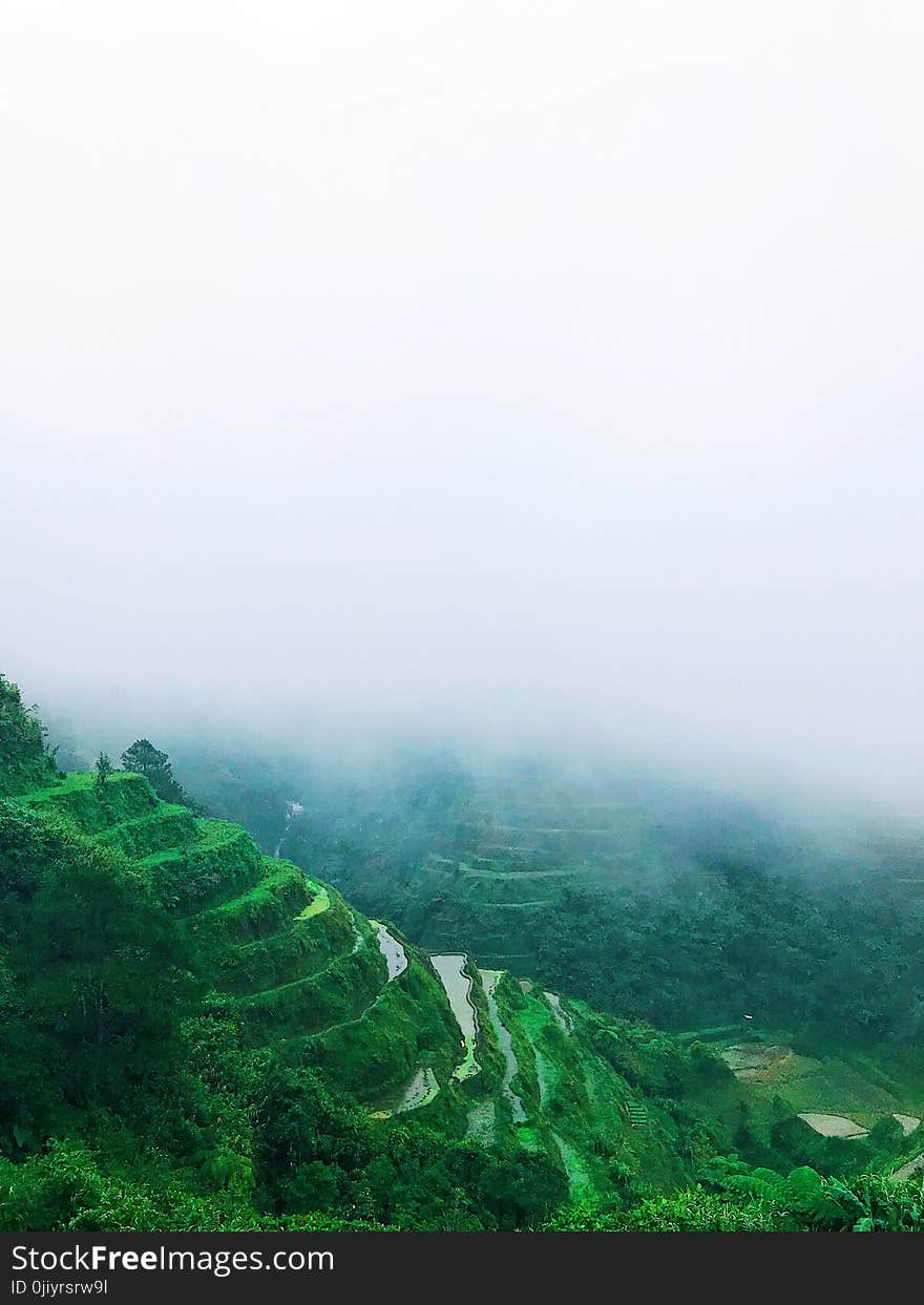 Green Rice Terraces With Foggy Weather