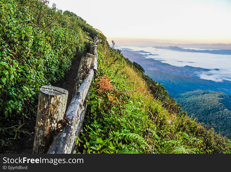 Log Fence on Mountain