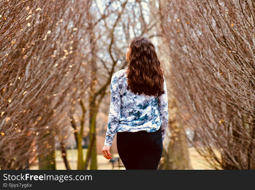 Woman in Blue and White Long-sleeved Shirt Walking Along Leafless Tree