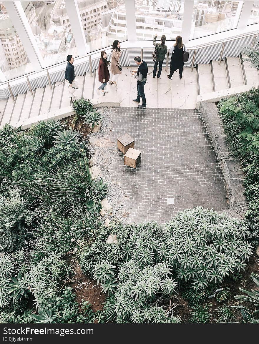 Group of People At The Stairs