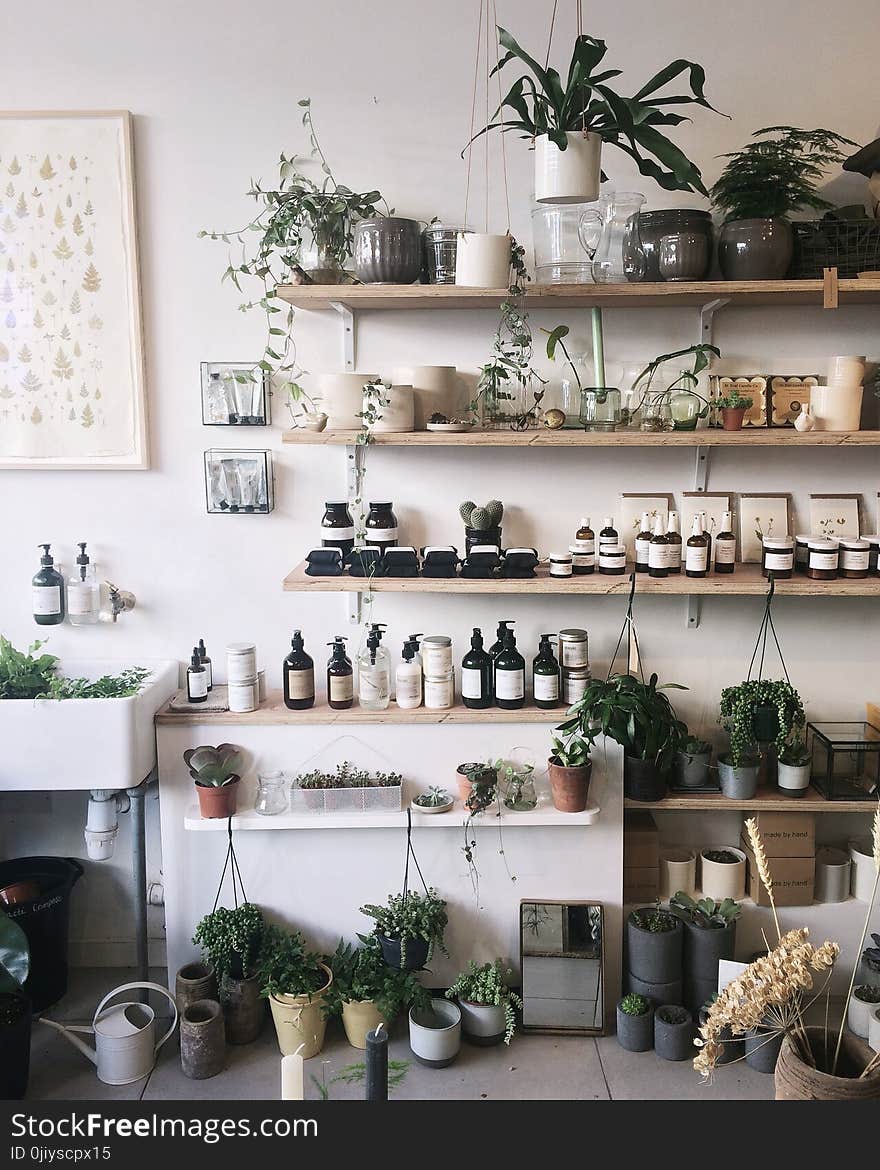 Pots on Beige Wooden Wall Shelf