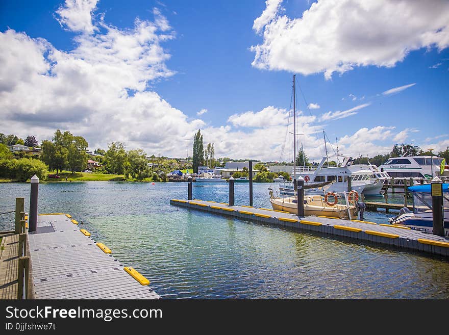 Wooden Dock Under Blue and White Sunny Cloudy Sky