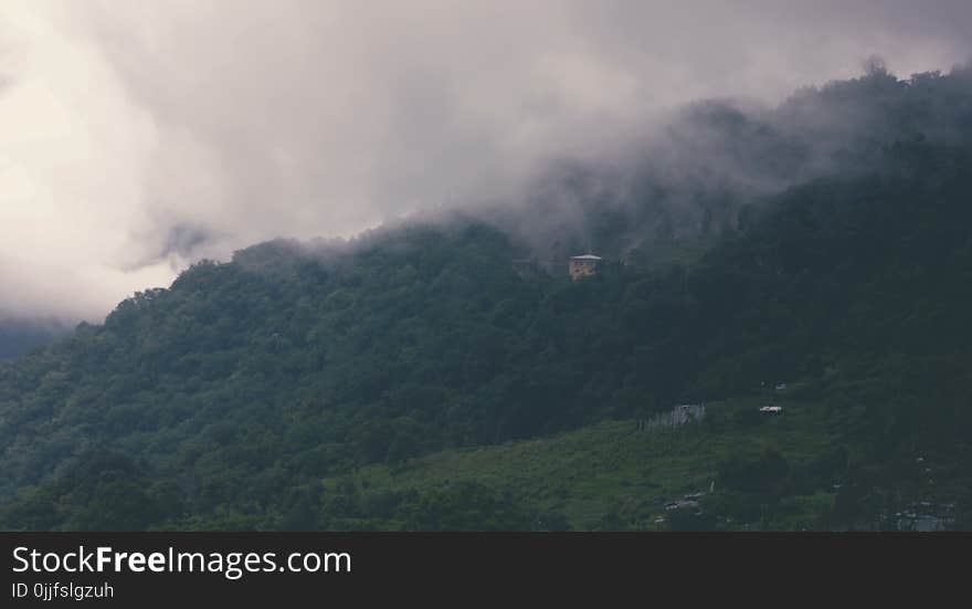 Aerial Photography of Forest With Foggy Clouds