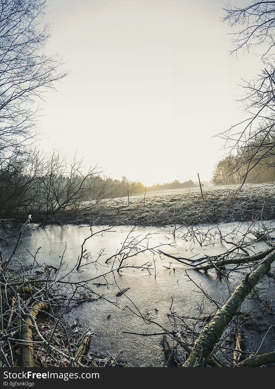 Body of Water Surrounded by Bare Trees Photo