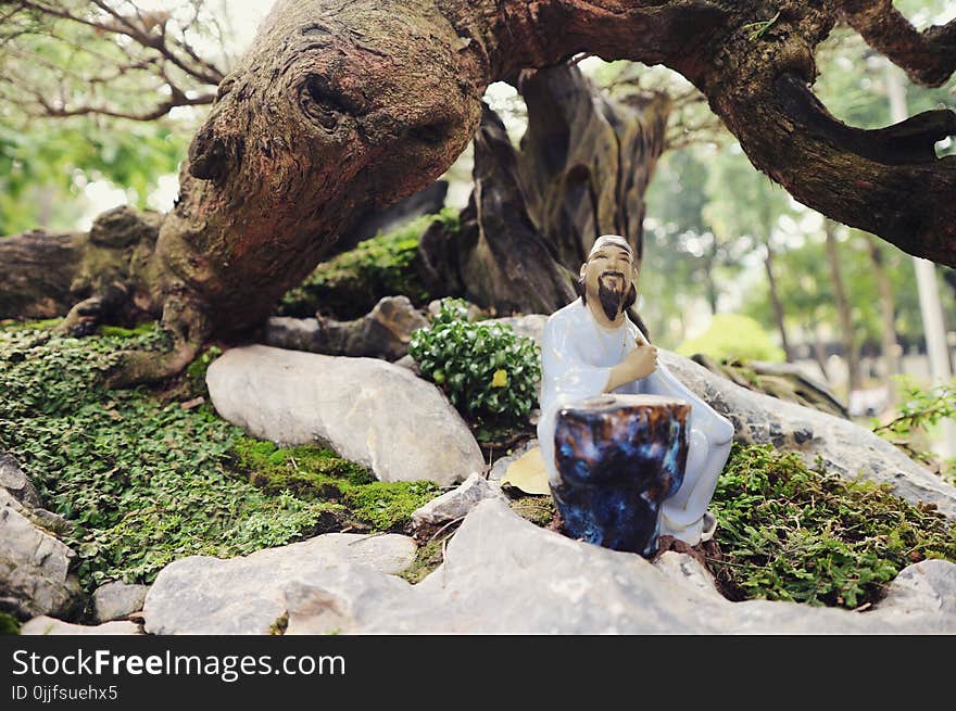 Man Wearing White Shirt Sitting on Gray Rock