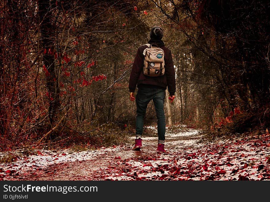 Person Wearing Black Jacket in the Middle of Forest