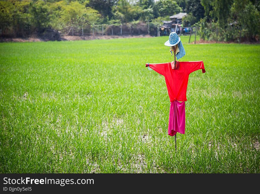 Scarecrow made from straw