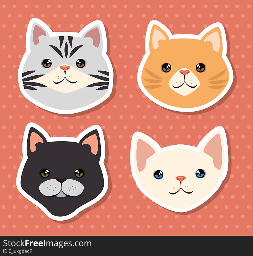 Cute cats pets friendly vector illustration design