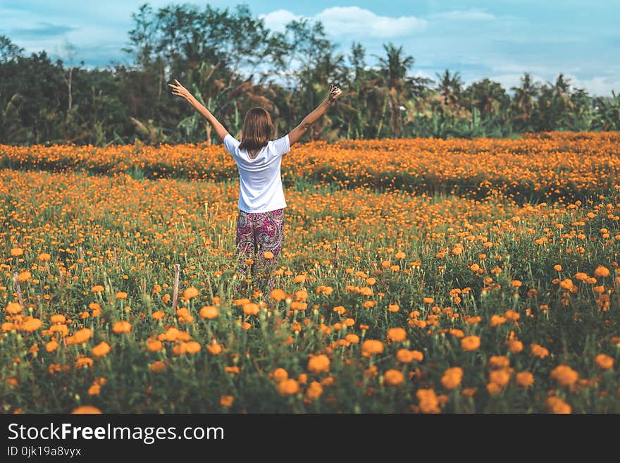 Woman Wearing White Shirt and Pink Floral Pants Standing at the Center of Yellow Flower Field