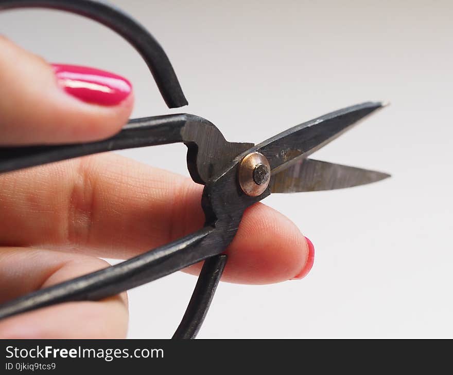 Focused Photo of Scissors