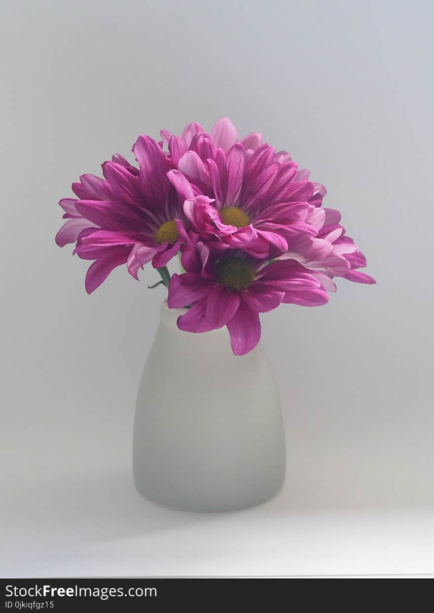 Pink Flowers on White Vase