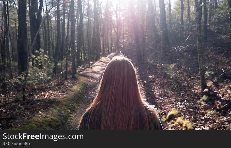 Woman in Black Top Standing Between Trees