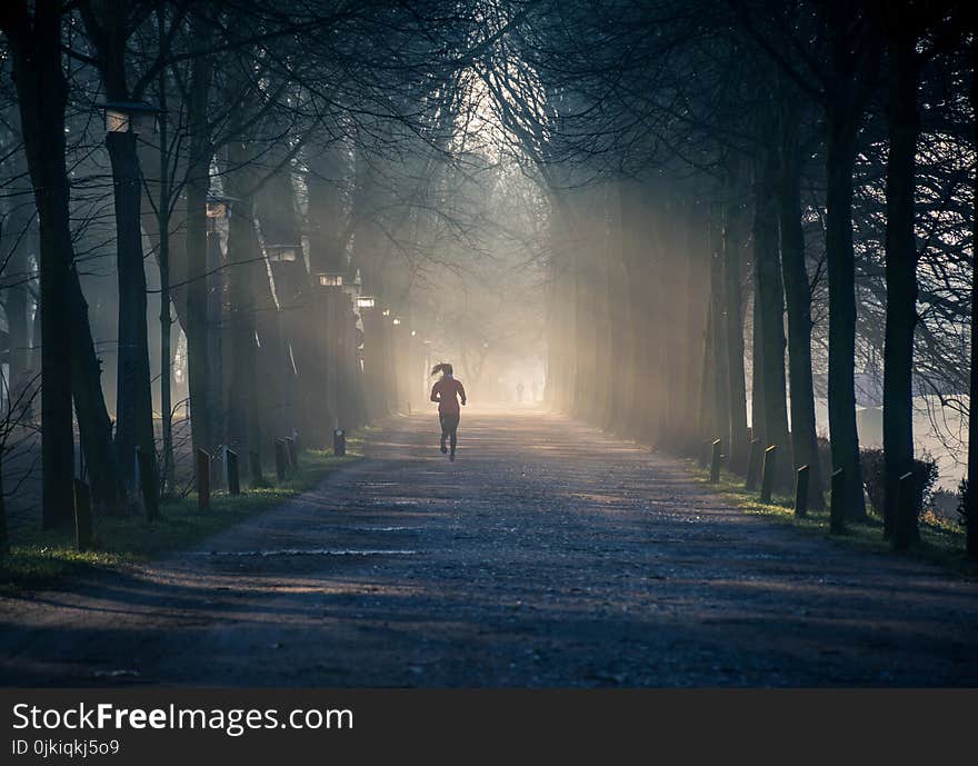 Person Running Near Street Between Tall Trees