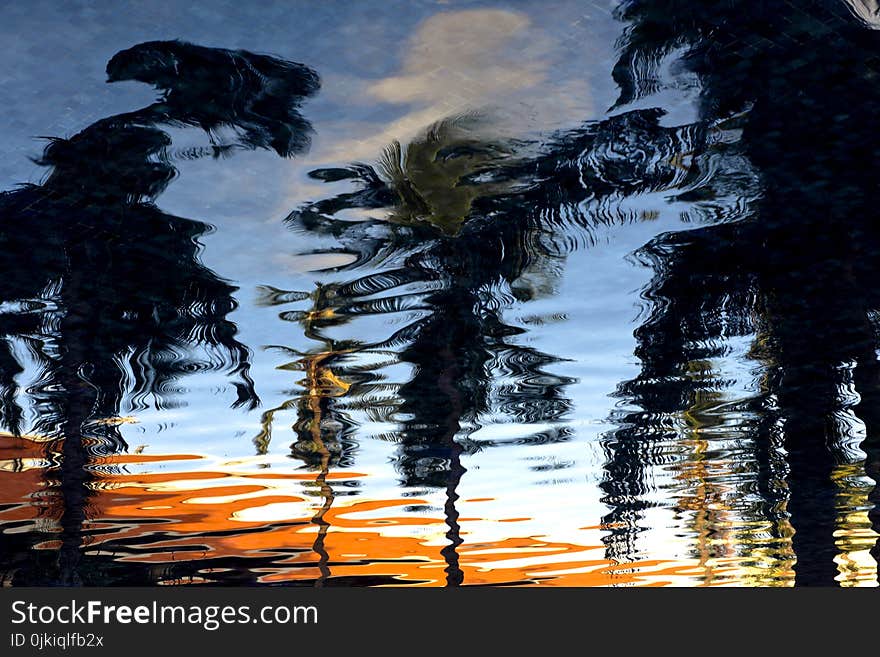 Reflection of Trees on Ripple Water