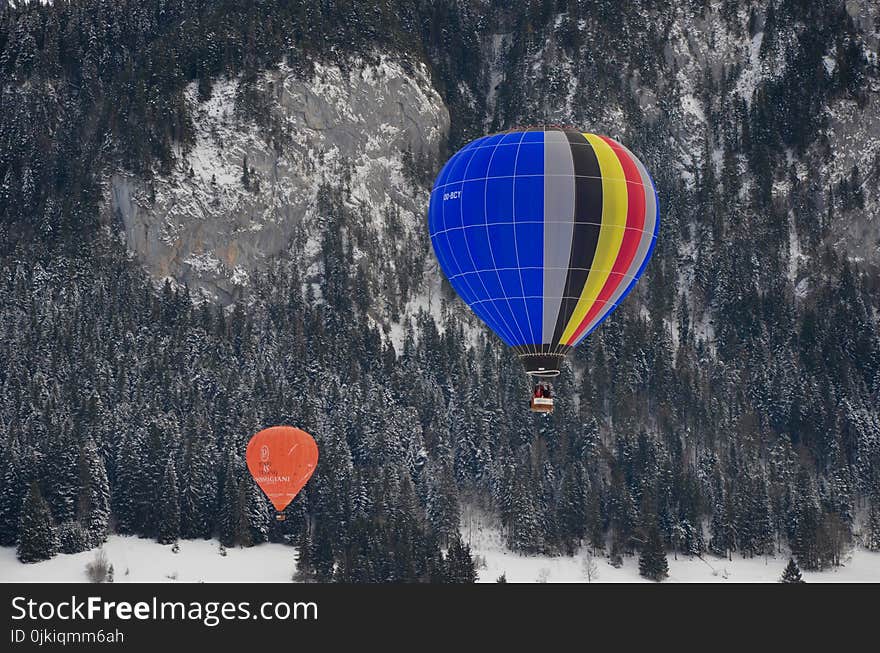 Two Assorted-color Hot Air Balloons over Green Trees