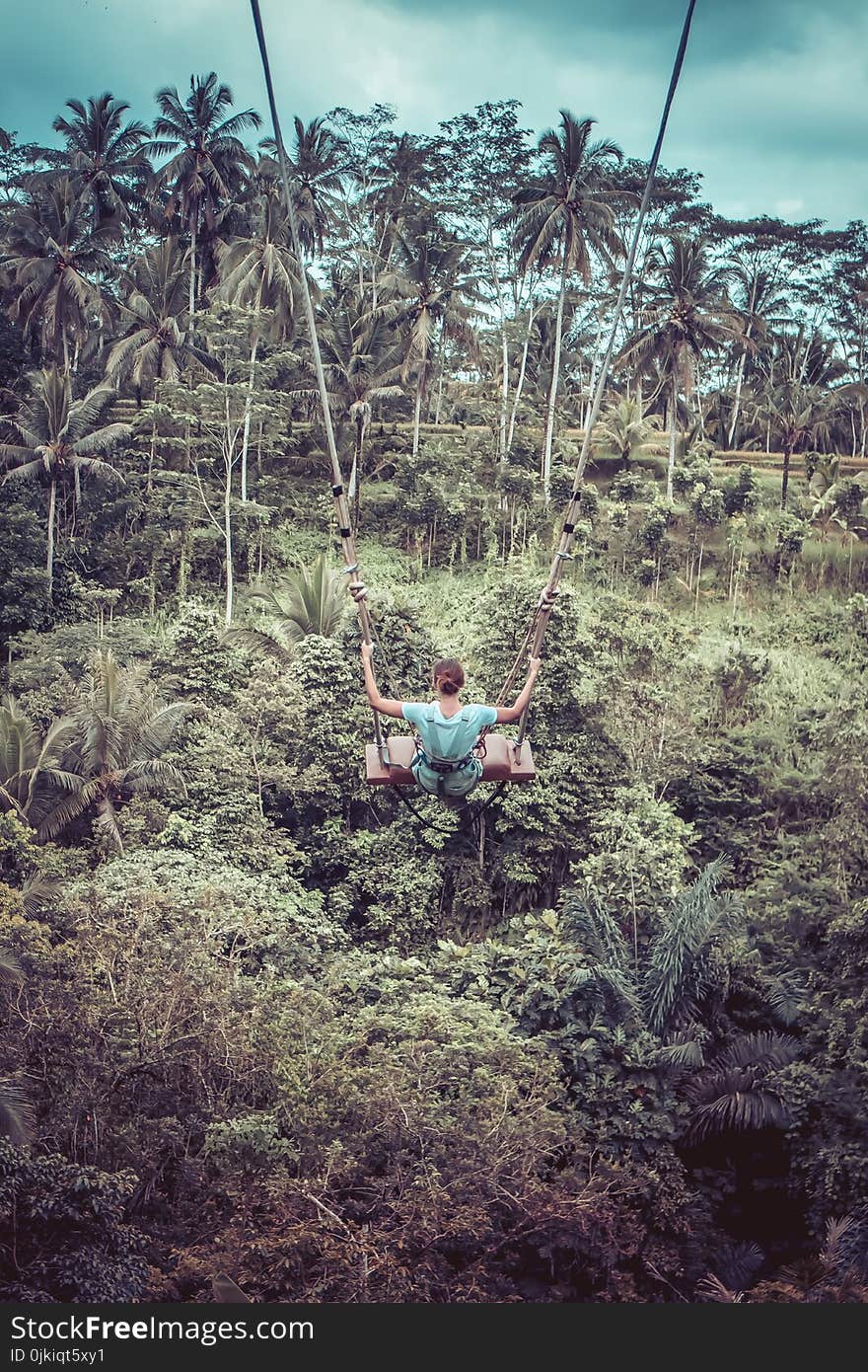 Woman Sitting on Wood Plank in Zip-line