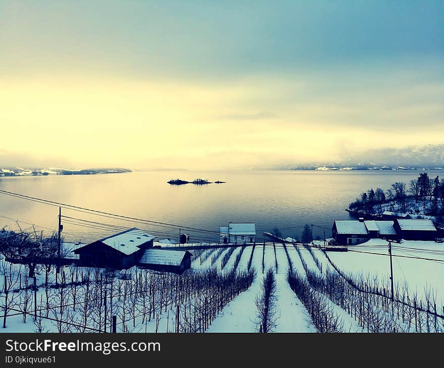 Landscape Photo of Houses and Body of Water