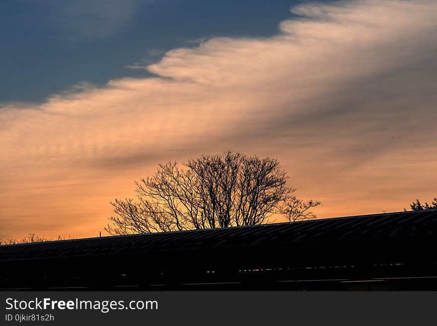 Silhouette of Leafless Tree Under Cloudy Sky