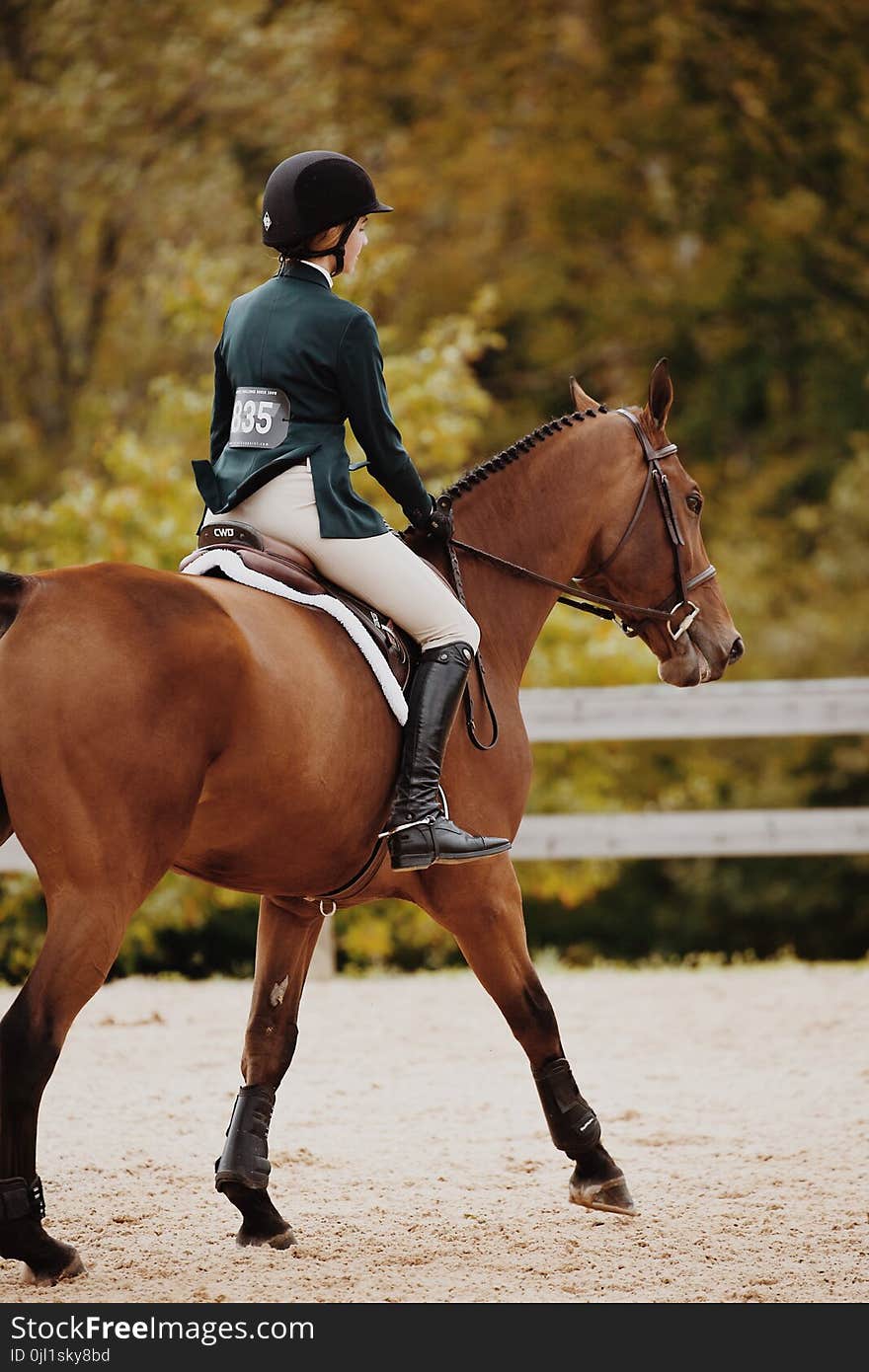 Depth of Field Photography of Woman Riding Brown Horse