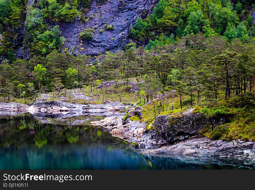 Landscape Photography of Lake and Trees