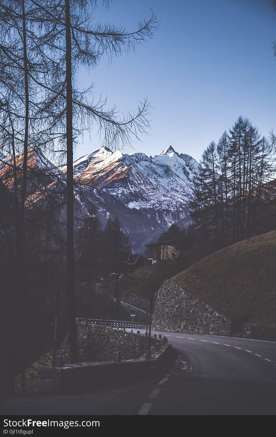 Gray Concrete Road With Trees and Mountain