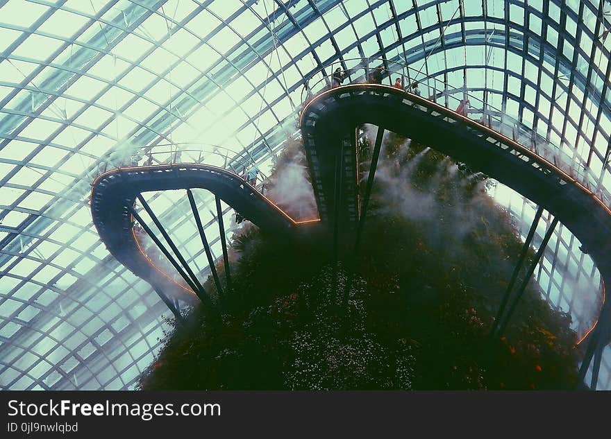 Walkway on Top of Indoor Garden