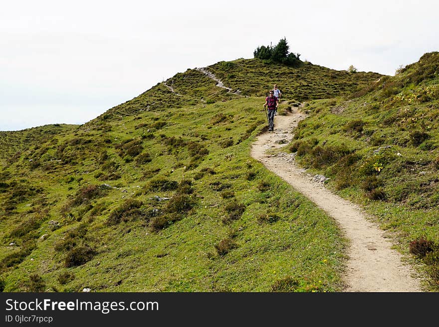 Ridge, Hill, Path, Vegetation