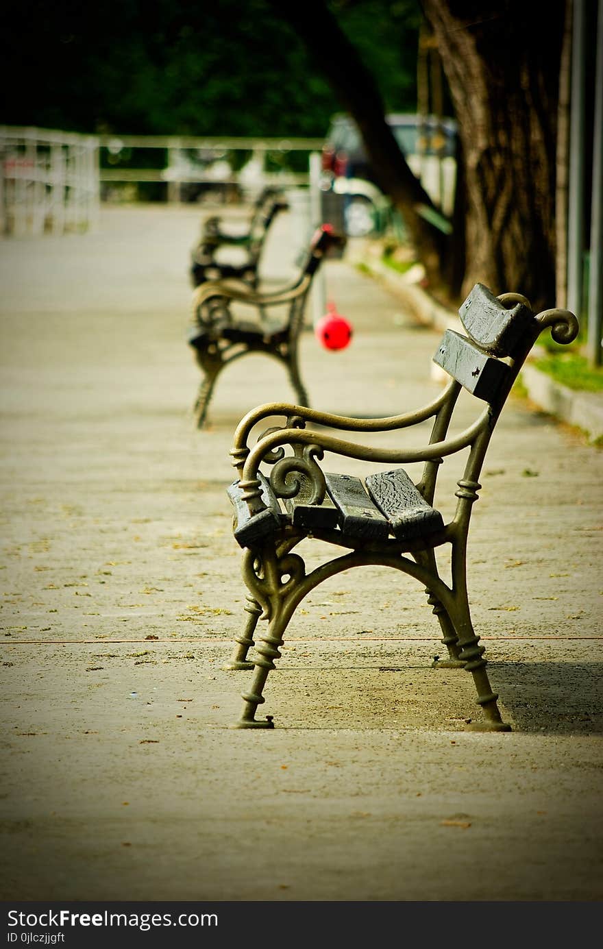 Furniture, Tree, Chair, Sitting