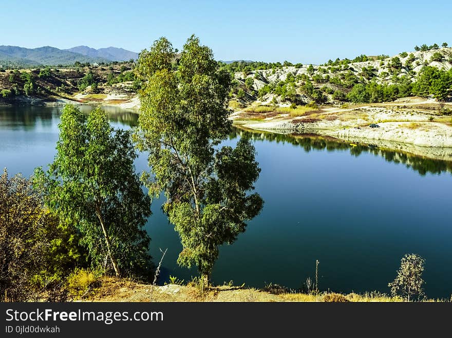 Nature, Nature Reserve, Reflection, Water