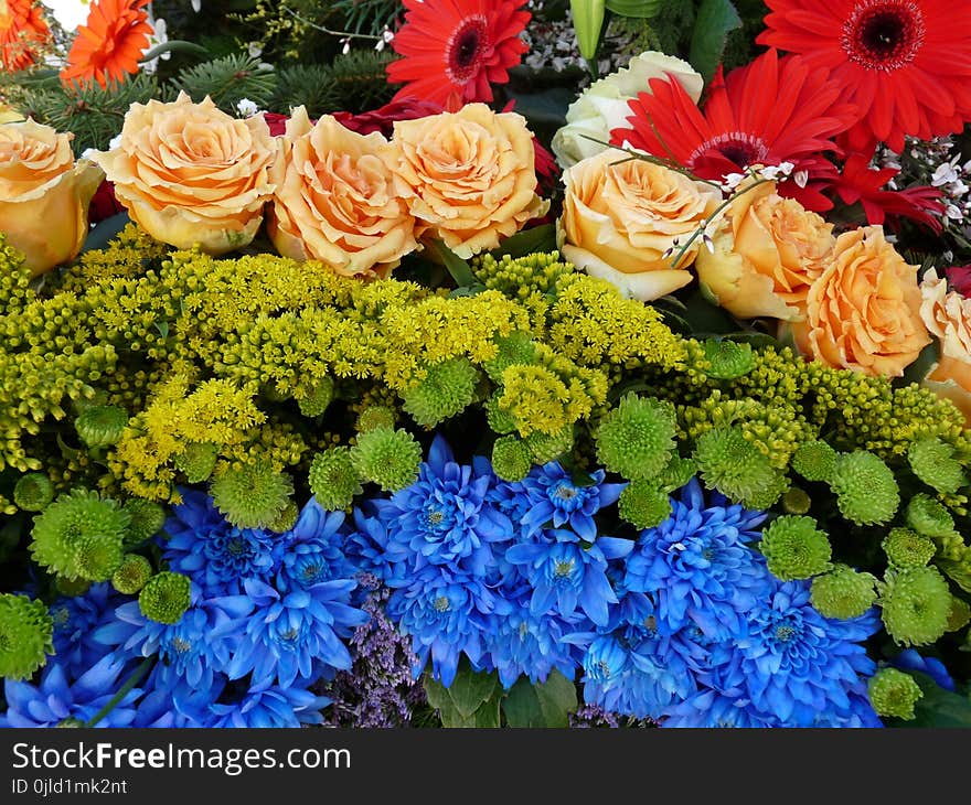 Flower, Floristry, Flower Arranging, Plant