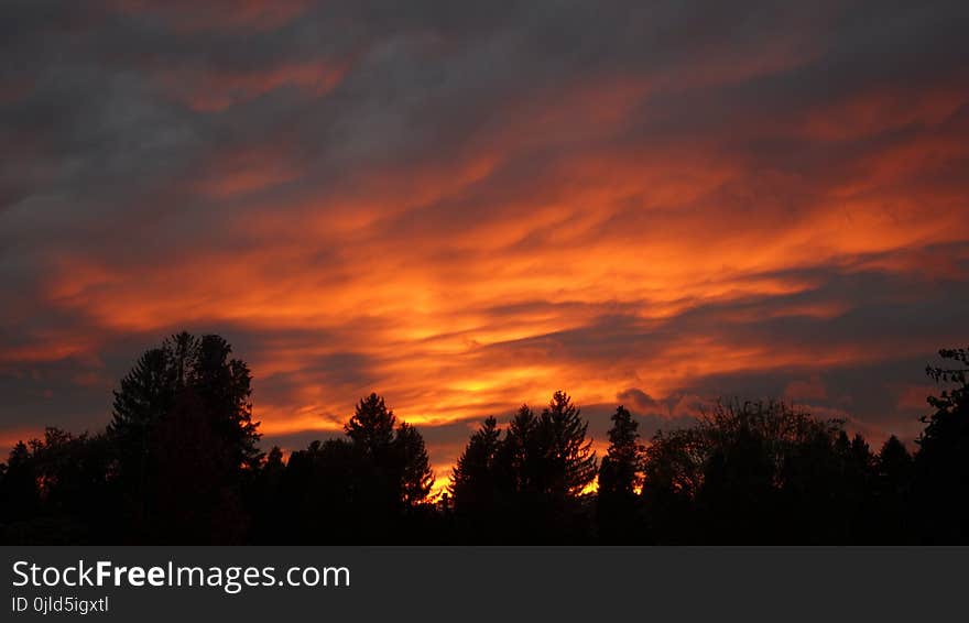 Sky, Red Sky At Morning, Afterglow, Dawn