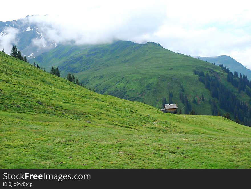 Grassland, Highland, Mountainous Landforms, Pasture