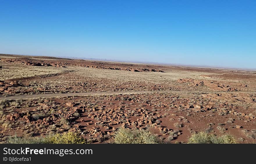 Ecosystem, Shrubland, Wilderness, Sky