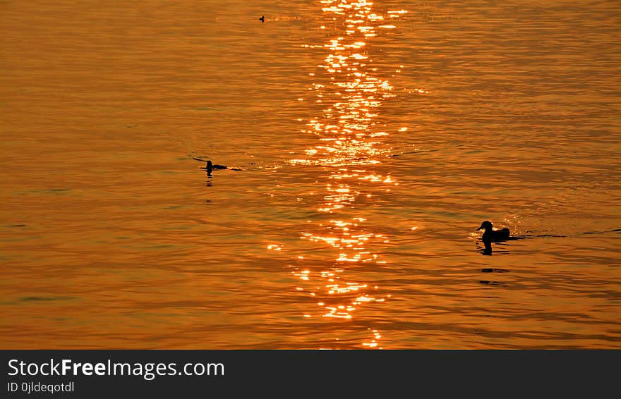 Water, Reflection, Sea, Orange