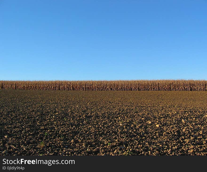 Sky, Field, Ecosystem, Crop